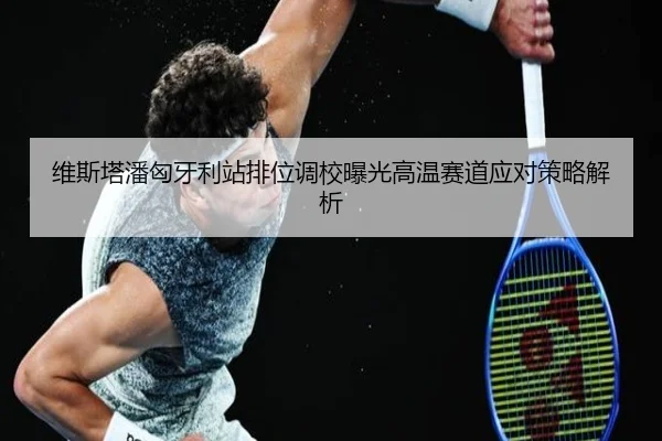 维斯塔潘匈牙利站排位调校曝光高温赛道应对策略解析